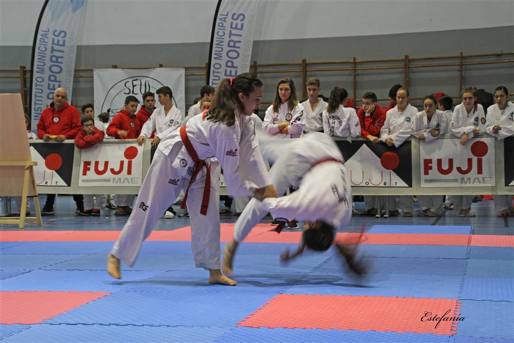 Copa Seul 2018 (378).jpg